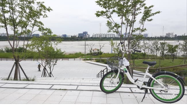 Alquiler de bicis por el Han River (Ttareungyi)