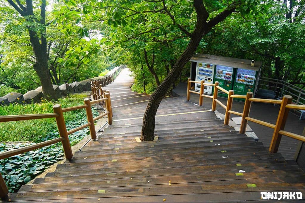 Subida de Namsan a pie