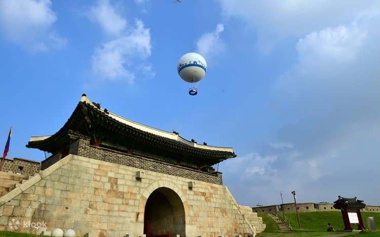 Flying Suwon
